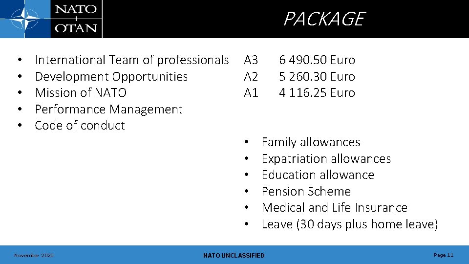 PACKAGE • • • International Team of professionals Development Opportunities Mission of NATO Performance