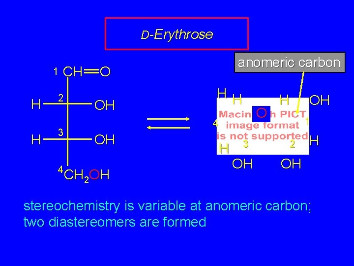 D-Erythrose 1 H H CH 2 3 4 anomeric carbon O OH HH O