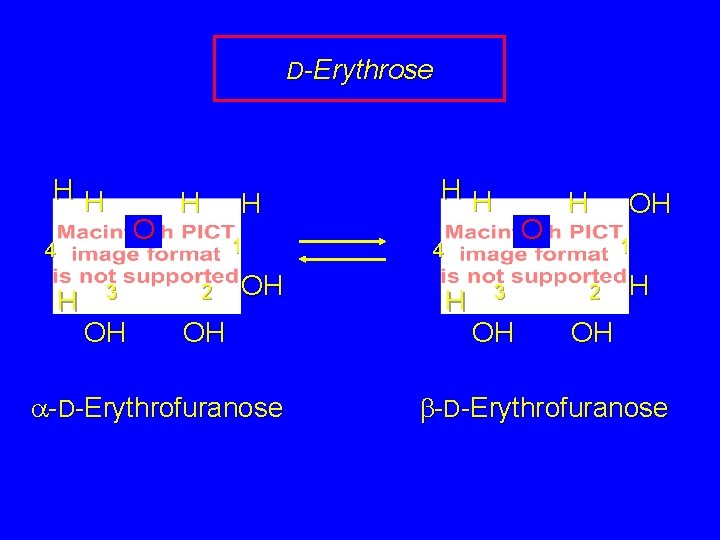 D-Erythrose HH O 4 H 3 OH H H 1 2 OH OH a-D-Erythrofuranose