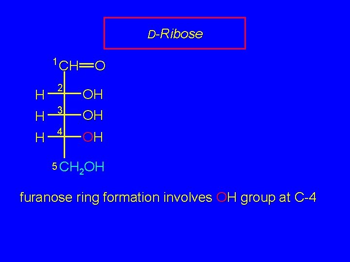 D-Ribose 1 CH O CH 2 OH H 3 OH H 4 OH H