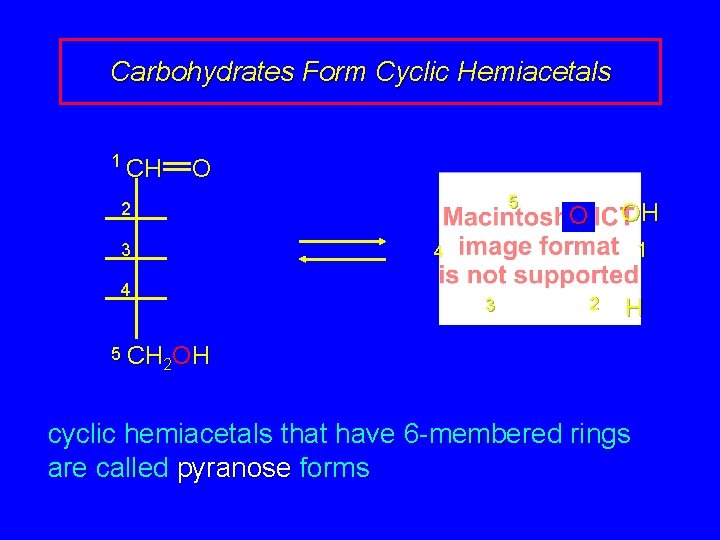 Carbohydrates Form Cyclic Hemiacetals 1 CH O 5 2 3 OH O 1 4