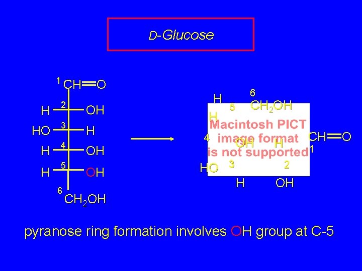 D-Glucose 1 CH O H 2 OH HO 3 H H 4 H 5