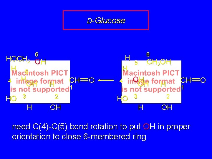 D-Glucose 6 H H HOCH 2 OH H 5 H 4 OH H HO