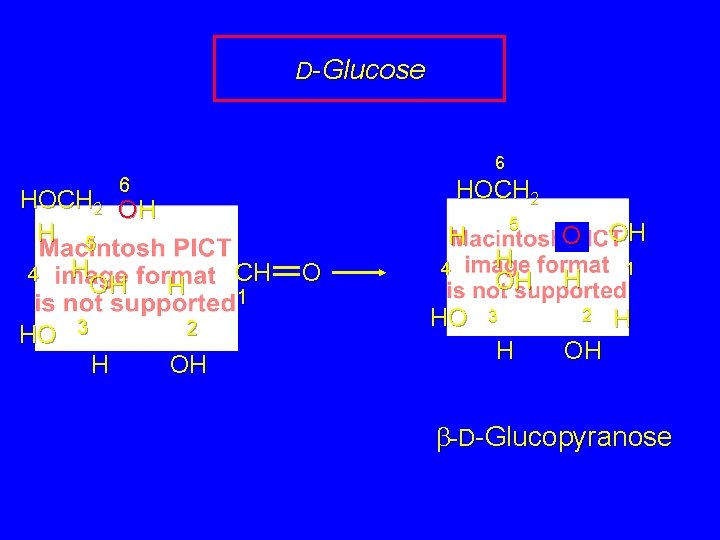 D-Glucose 6 6 HOCH 2 OH H 5 H 4 OH H HO 3