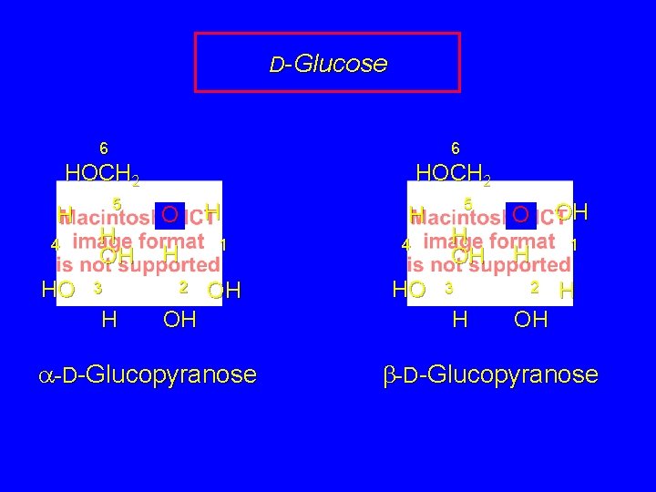 D-Glucose 6 6 HOCH 2 H 4 HO 5 H OH 3 H O