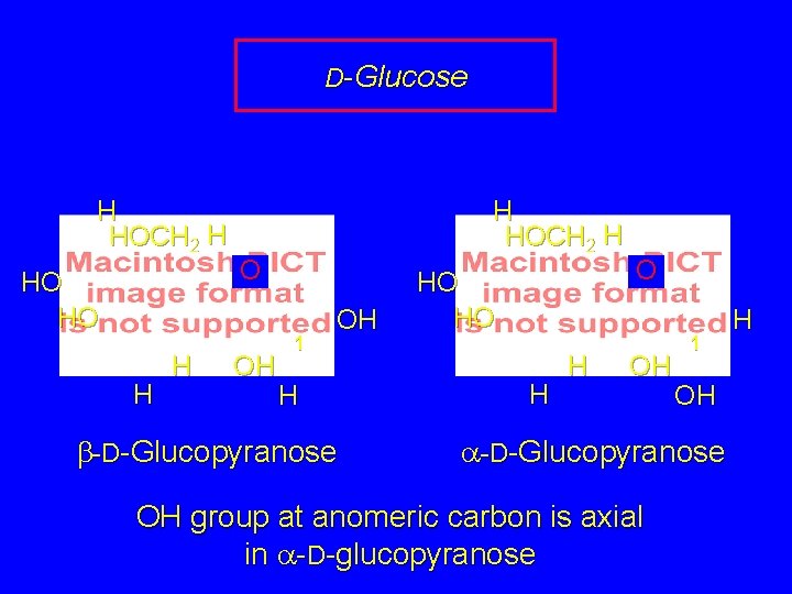 D-Glucose H HOCH 2 H HO HO H HOCH 2 H O OH 1