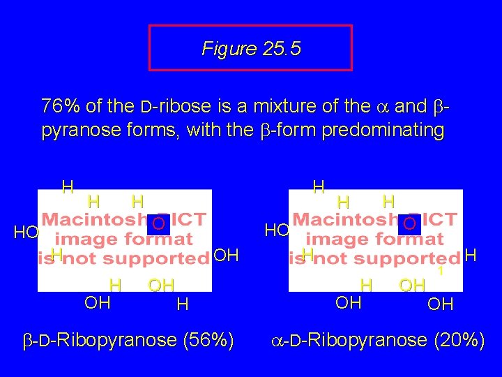 Figure 25. 5 76% of the D-ribose is a mixture of the a and