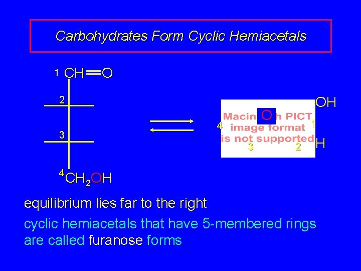 Carbohydrates Form Cyclic Hemiacetals 1 CH O OH 2 4 3 4 O 3