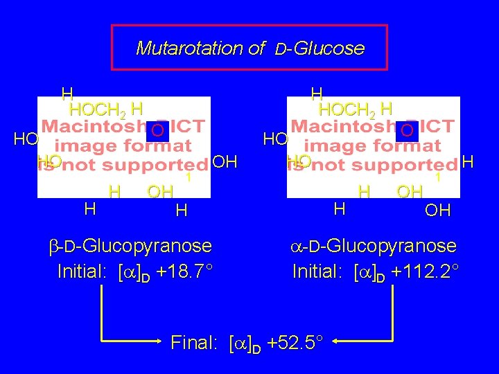 Mutarotation of D-Glucose H HOCH 2 H HO HO H HOCH 2 H O