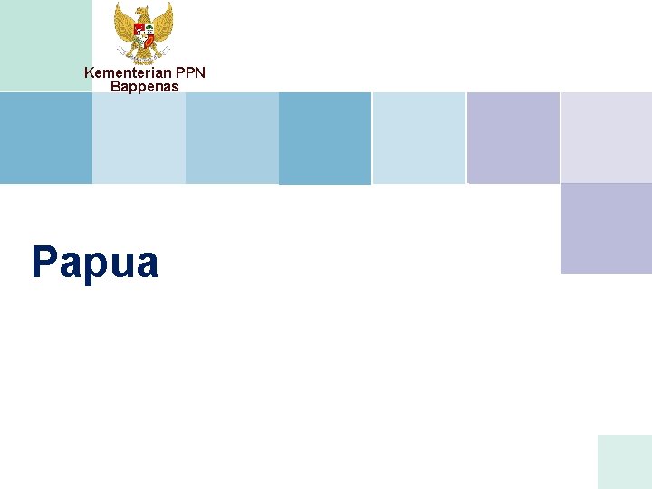 Kementerian PPN Bappenas Papua 