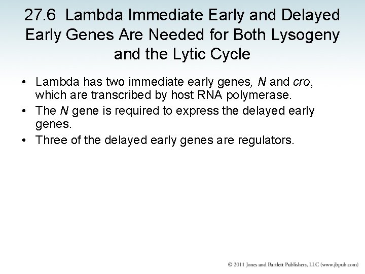 27. 6 Lambda Immediate Early and Delayed Early Genes Are Needed for Both Lysogeny