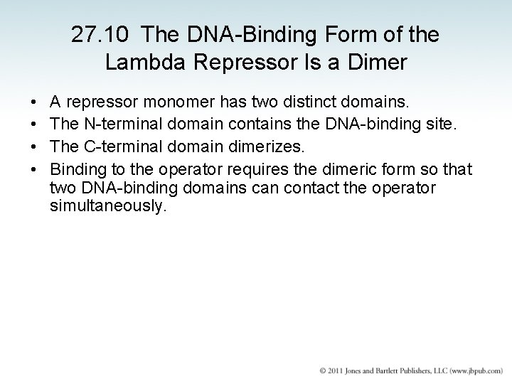 27. 10 The DNA-Binding Form of the Lambda Repressor Is a Dimer • •