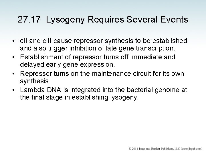 27. 17 Lysogeny Requires Several Events • c. II and c. III cause repressor