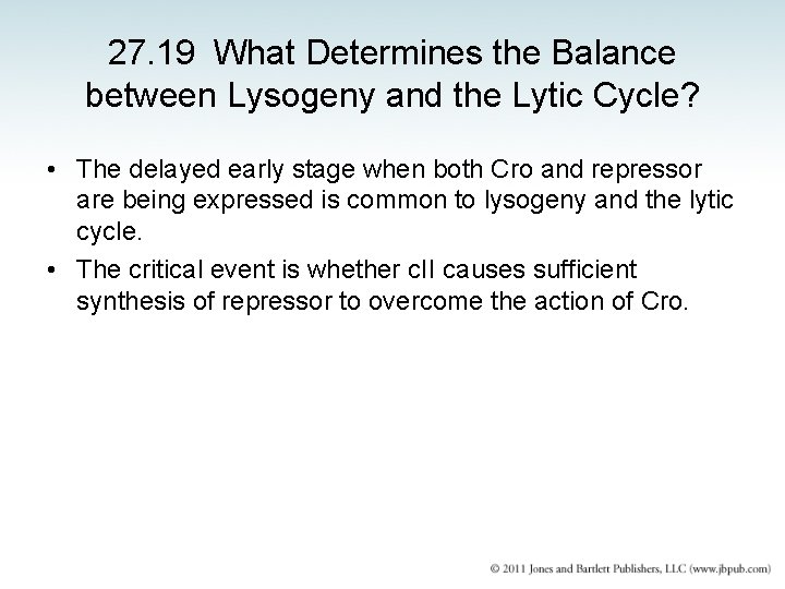 27. 19 What Determines the Balance between Lysogeny and the Lytic Cycle? • The