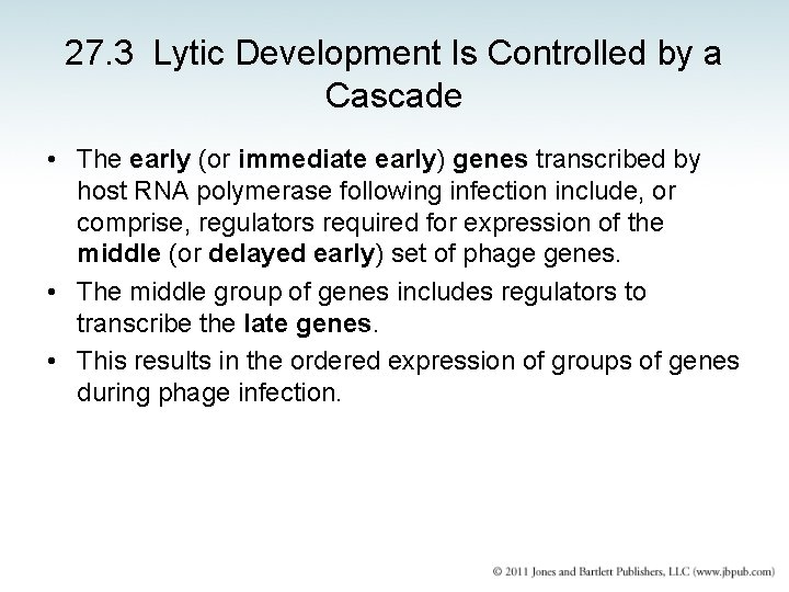 27. 3 Lytic Development Is Controlled by a Cascade • The early (or immediate