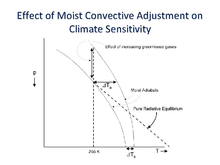 Effect of Moist Convective Adjustment on Climate Sensitivity 