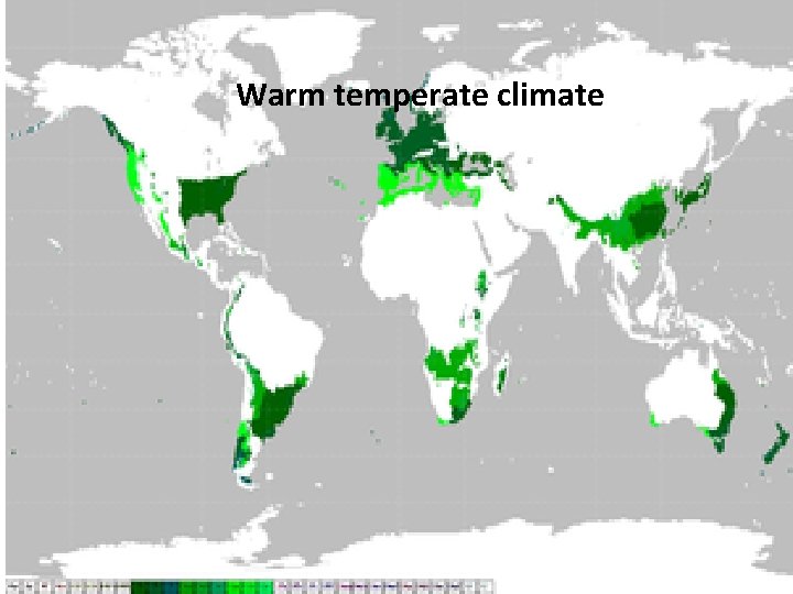 Warm temperate climate 