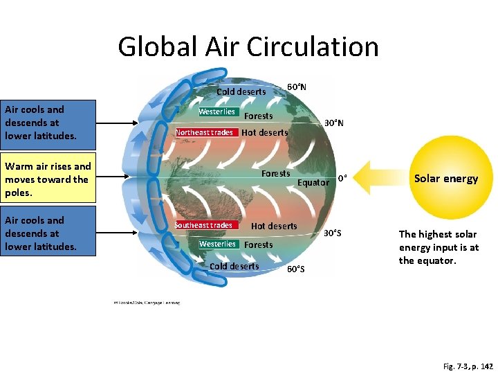 Global Air Circulation Cold deserts Air cools and descends at lower latitudes. Westerlies Northeast