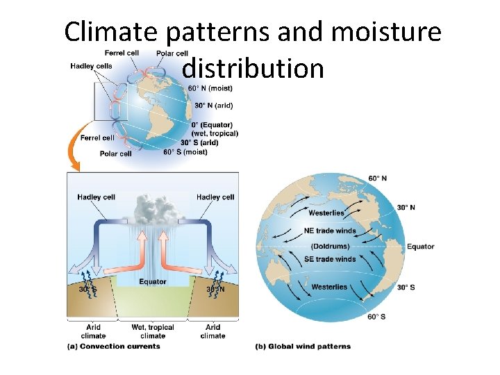 Climate patterns and moisture distribution 