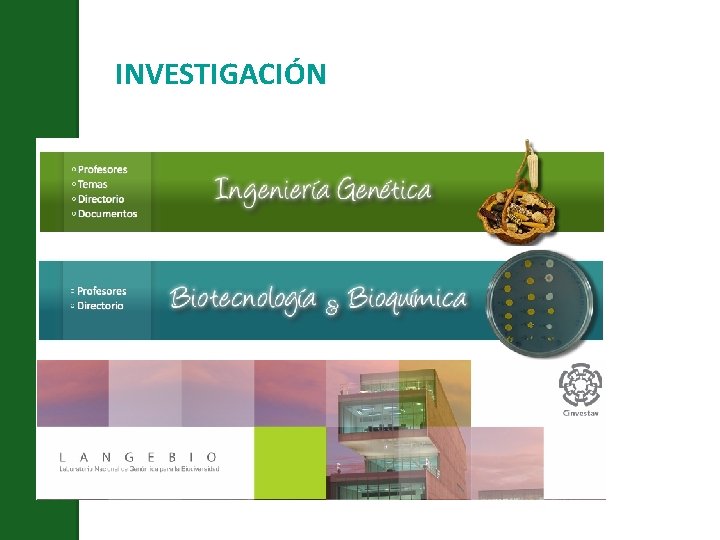 INVESTIGACIÓN 