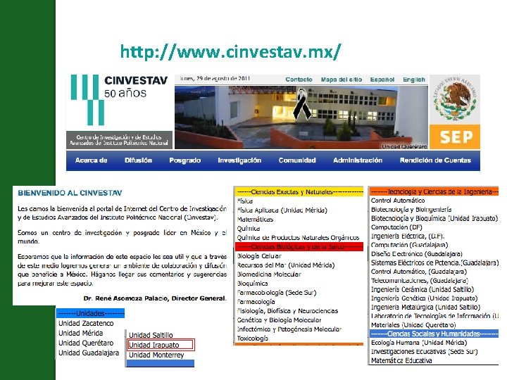 http: //www. cinvestav. mx/ 