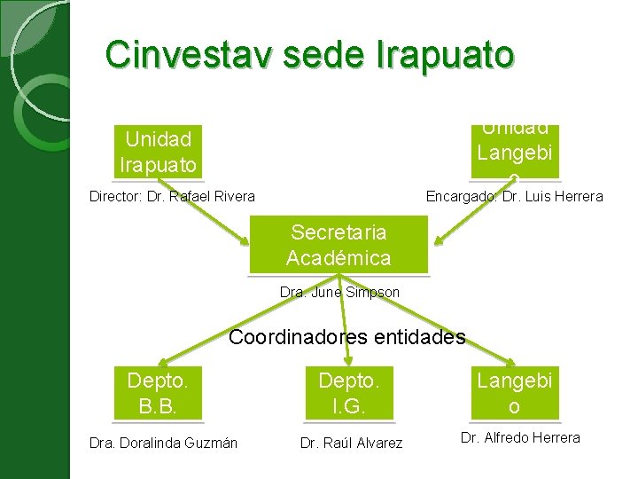 Cinvestav sede Irapuato Unidad Langebi o Unidad Irapuato Director: Dr. Rafael Rivera Encargado: Dr.