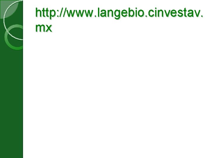 http: //www. langebio. cinvestav. mx 