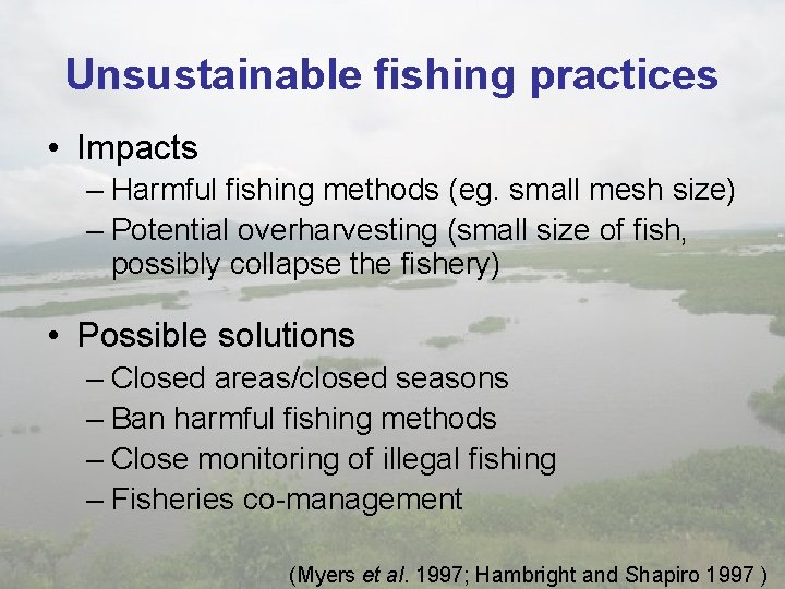 Unsustainable fishing practices • Impacts – Harmful fishing methods (eg. small mesh size) –
