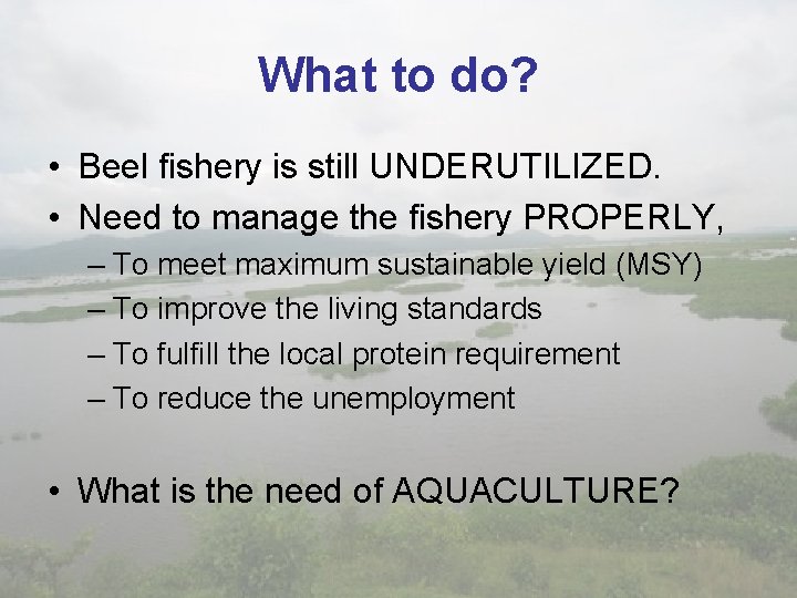 What to do? • Beel fishery is still UNDERUTILIZED. • Need to manage the
