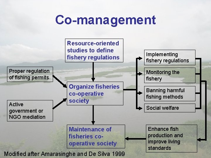 Co-management Resource-oriented studies to define fishery regulations Proper regulation of fishing permits Active government