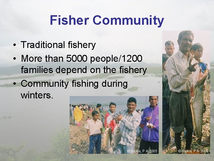 Fisher Community • Traditional fishery • More than 5000 people/1200 families depend on the