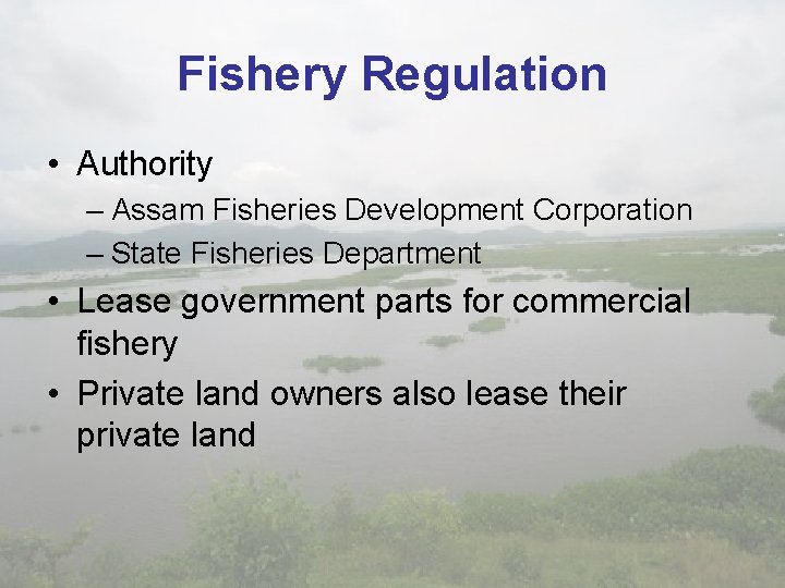 Fishery Regulation • Authority – Assam Fisheries Development Corporation – State Fisheries Department •