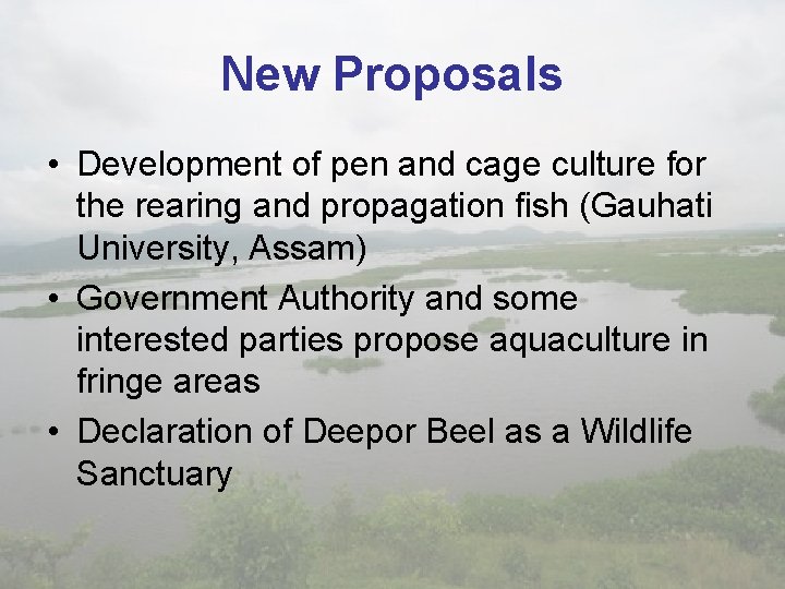 New Proposals • Development of pen and cage culture for the rearing and propagation