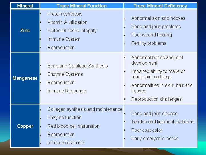Mineral Zinc Manganese Copper Trace Mineral Function • Protein synthesis • Vitamin A utilization