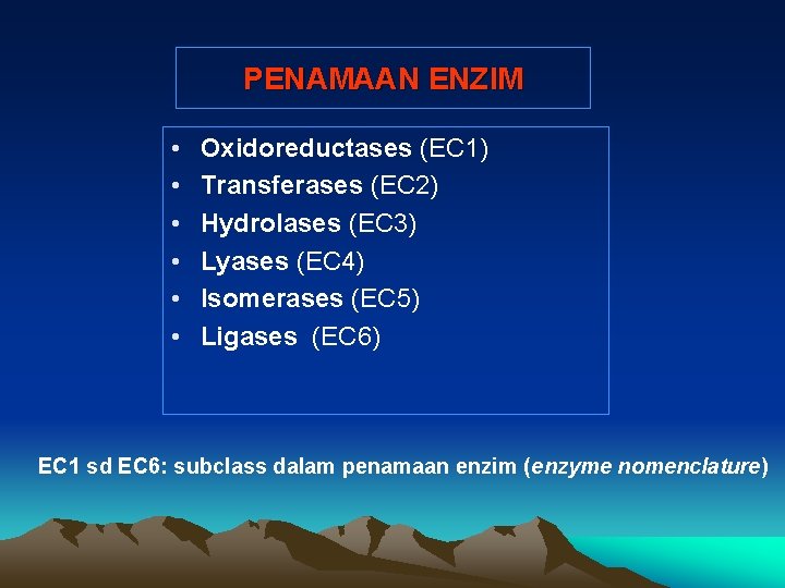 PENAMAAN ENZIM • • • Oxidoreductases (EC 1) Transferases (EC 2) Hydrolases (EC 3)