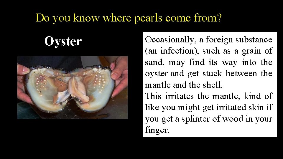 Do you know where pearls come from? Oyster Occasionally, a foreign substance (an infection),