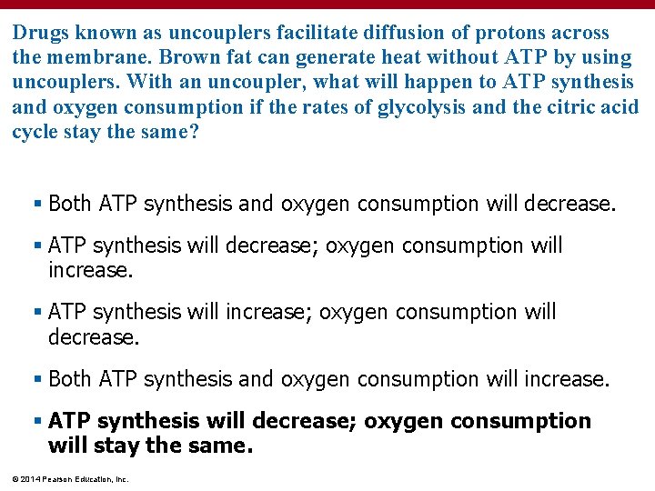 Drugs known as uncouplers facilitate diffusion of protons across the membrane. Brown fat can
