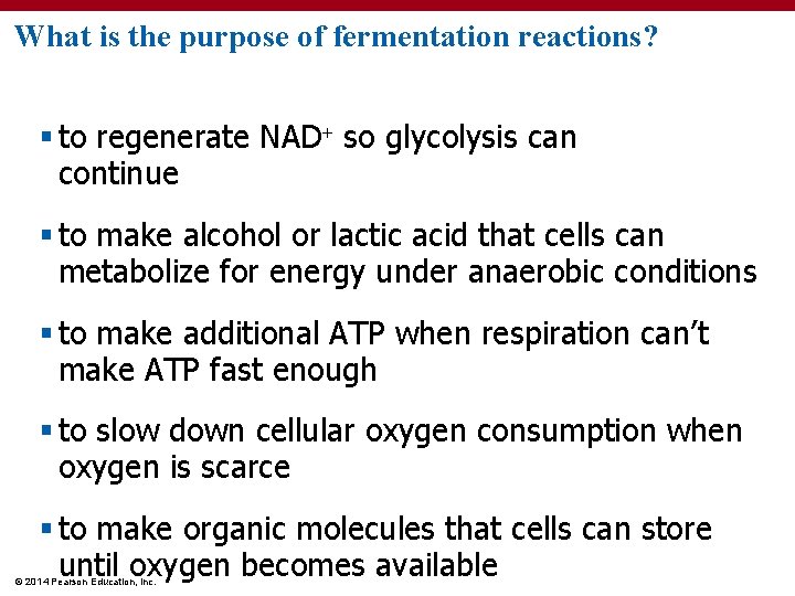 What is the purpose of fermentation reactions? § to regenerate NAD so glycolysis can