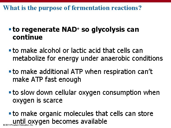 What is the purpose of fermentation reactions? § to regenerate NAD so glycolysis can