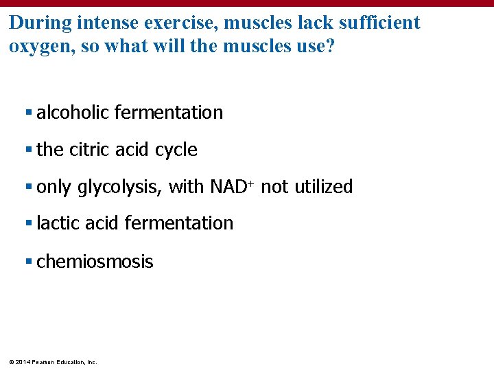 During intense exercise, muscles lack sufficient oxygen, so what will the muscles use? §