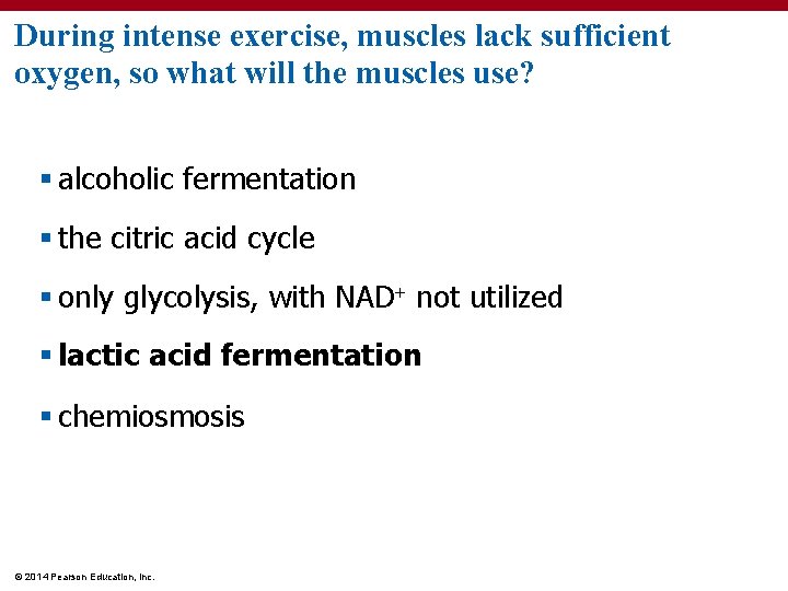 During intense exercise, muscles lack sufficient oxygen, so what will the muscles use? §