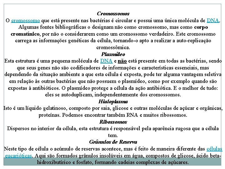 Cromossomos O cromossomo que está presente nas bactérias é circular e possui uma única