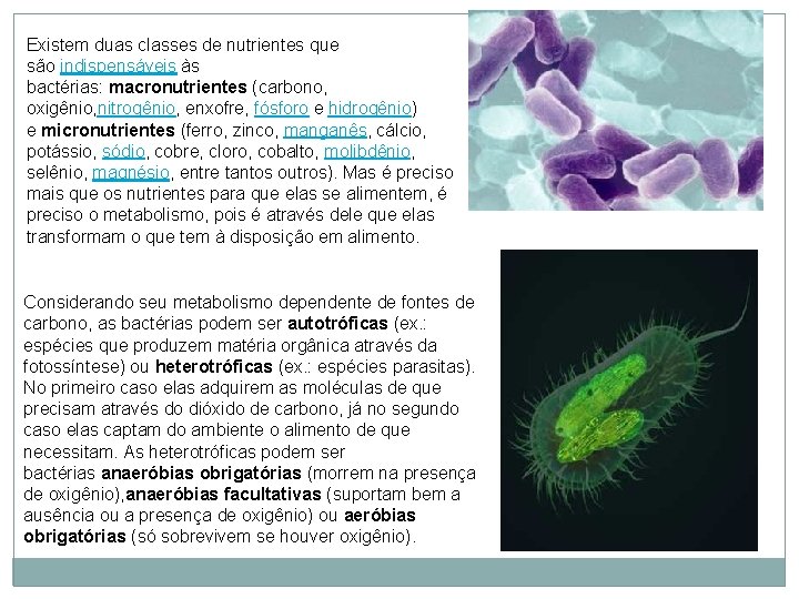 Existem duas classes de nutrientes que são indispensáveis às bactérias: macronutrientes (carbono, oxigênio, nitrogênio,