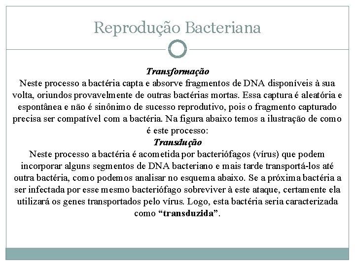 Reprodução Bacteriana Transformação Neste processo a bactéria capta e absorve fragmentos de DNA disponíveis