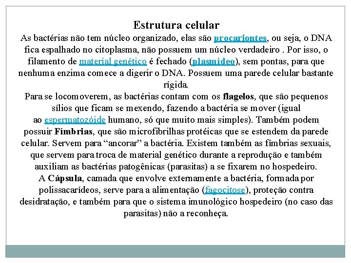 Estrutura celular As bactérias não tem núcleo organizado, elas são procariontes, ou seja, o