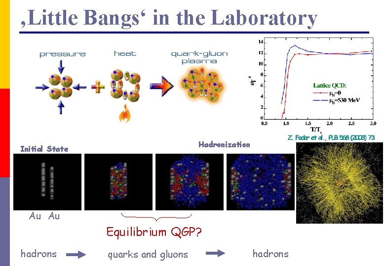 ‚Little Bangs‘ in the Laboratory Hadronization Initial State Au Au Equilibrium QGP? hadrons quarks