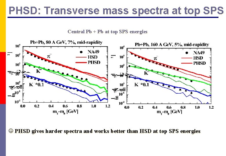 PHSD: Transverse mass spectra at top SPS Central Pb + Pb at top SPS