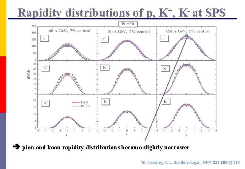 Rapidity distributions of p, K+, K- at SPS pion and kaon rapidity distributions become