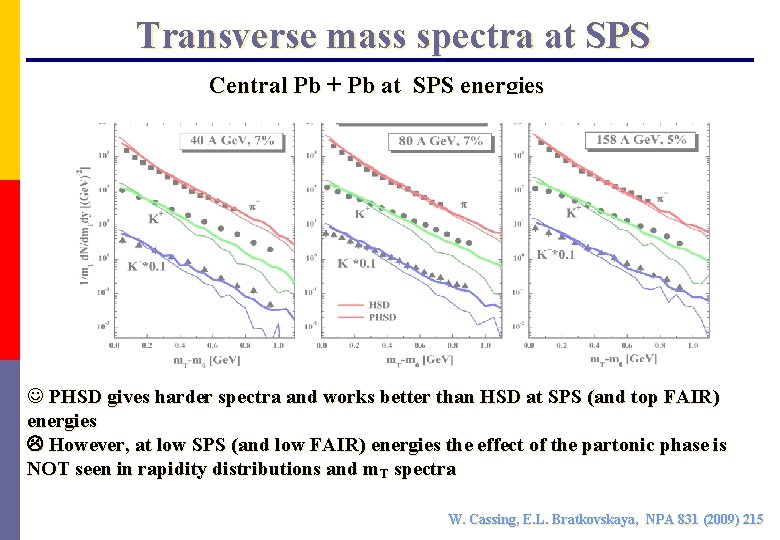 Transverse mass spectra at SPS Central Pb + Pb at SPS energies J PHSD