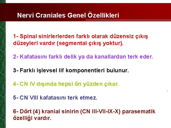 Nervi Craniales Genel Özellikleri 1 - Spinal sinirlerlerden farklı olarak düzensiz çıkış düzeyleri vardır